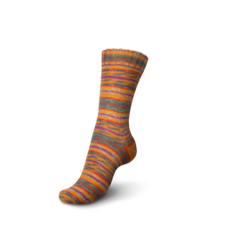 Schachenmayr Regia Setesdal Color Design Line by Arne & Carlos 3828