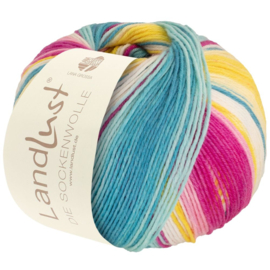 LandLust Die Sockenwolle 6 ply color 911