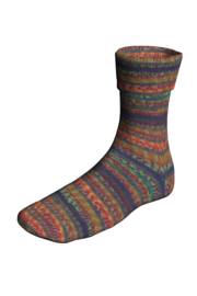 Langyarns Super Soxx color 4 ply 0574