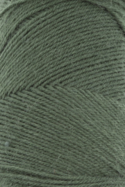 Langyarns Jawoll Superwash Sokkengaren, 0098 groen