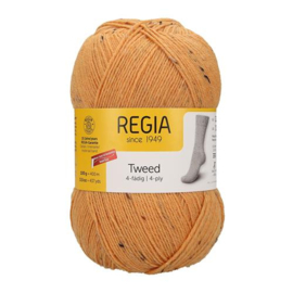 Schachenmayr Regia Tweed 00022