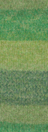 Lana Grossa Diversa Print 107 groen garenpakket 9 bollen