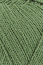 Lang Yarns Super Soxx 6 ply  0198