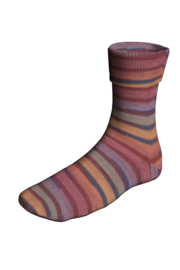 Langyarns Super Soxx color 4 ply 0547