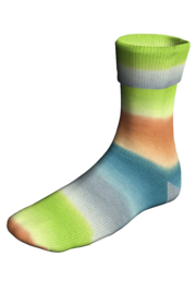 Langyarns Super Soxx color 4 ply 0508