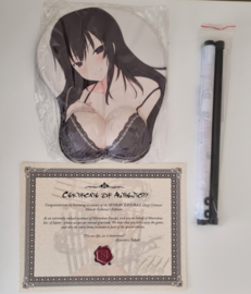 3DS Senran Kagura 2: Deep Crimson - Shinobi Collector's Edition (CIB)