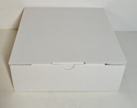 PS5 Dualsense White (CIB)