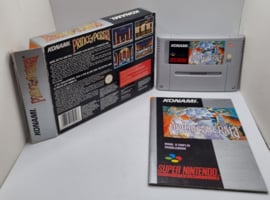 SNES Prince of Persia (CIB) FAH