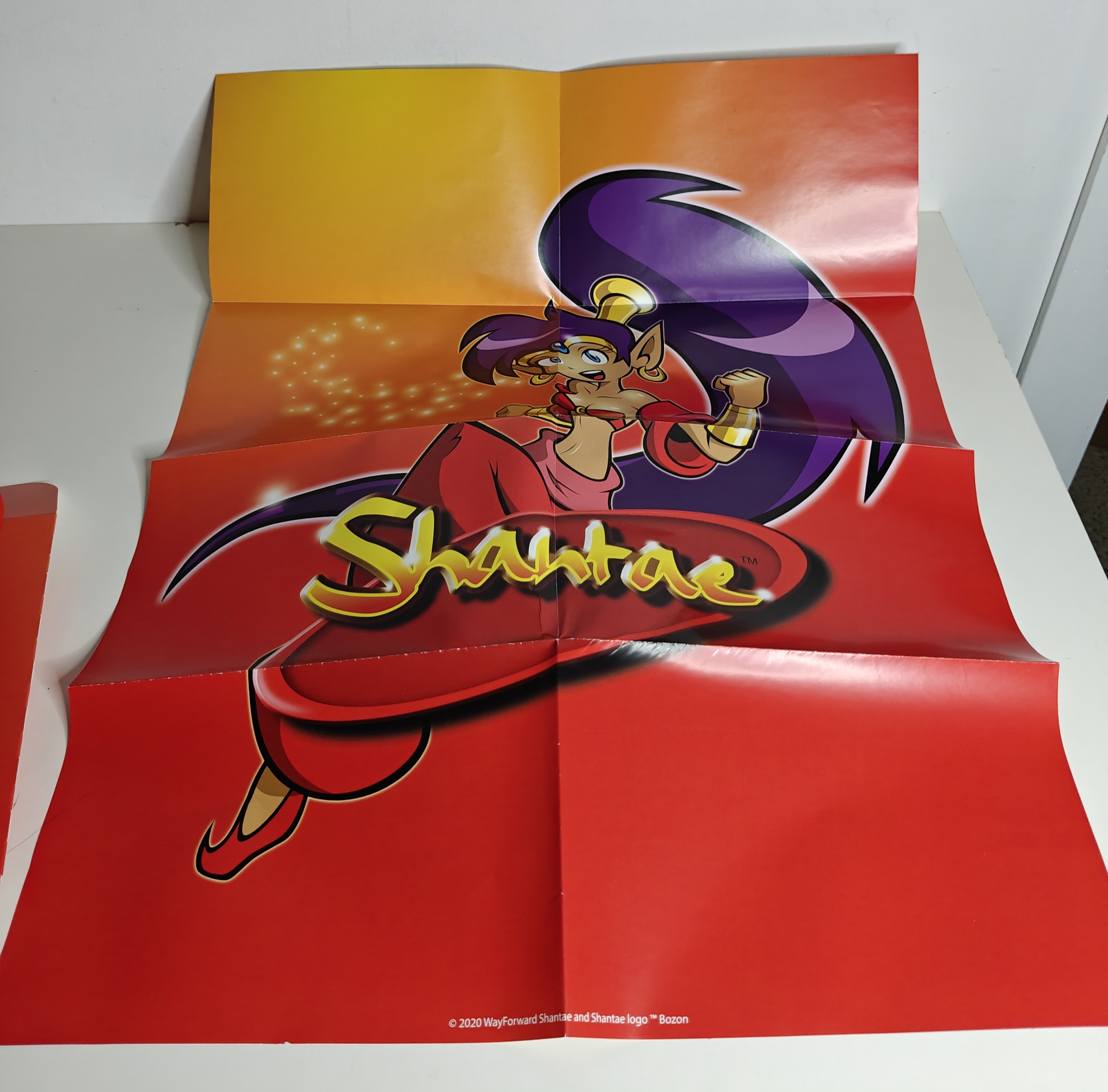 Switch Shantae Collector's Edition (CIB) Limited Run #83