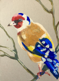 Goldfinch Fever