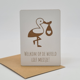 Kaartje "Welkom meisje"