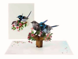 3D pop-up wenskaart - Kiriori - Australische inheemse prachtblauwe elfenwinterkonin