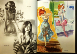 Artbook - The best of Vincenzo Cucca - herziene editie - hc met stofomslag - Artprint - 2023