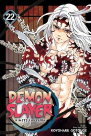 Demon Slayer: Kimetsu no Yaiba, Vol. 22  - sc - 2022