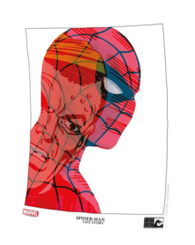 Spider-man Lifestory - delen 1 & 2 Premium pack (met totem en artprint)  - sc - 2021