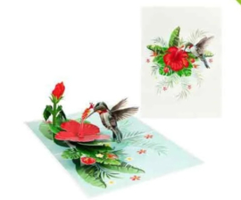 3D pop-up wenskaart - Kiriori - Kolibrie