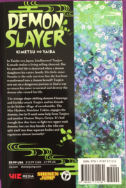 Demon Slayer Kimetsu no Yaiba Vol 13 - sc - 2020