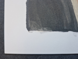 Aimée de Jongh - Lithografie - Bloesems in de herfst - oplage 50 ex. - (2020)	 Aimée de Jongh - Lithografie - Bloesems in de herfst - oplage 50 ex. - (2020)