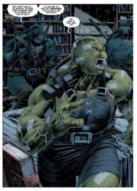 Teenage mutant Turtles - 4. The last Ronin - sc - 2024