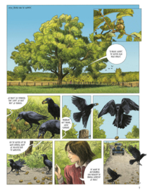 Servais - Fauna en Symboliek - Deel 3 - De Raaf, het Duifje en de Kraai - hc - 2025 - Nieuw!