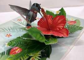 3D pop-up wenskaart - Kiriori - Kolibrie