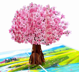 3D pop-up wenskaart - Kiriori - Plum Pink Cherry Blossom