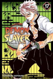 Demon Slayer: Kimetsu no Yaiba, Vol. 17  - sc - 2021