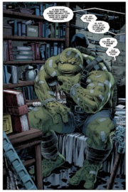 Teenage mutant Turtles - 4. The last Ronin - sc - 2024