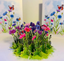3D pop-up wenskaart - Kiriori - Korenbloemtuin met vlinders