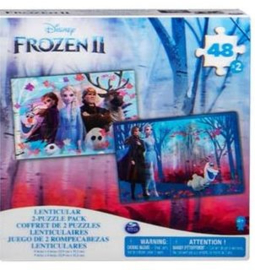 Legpuzzel -  Disney Frozen 2 -  +4 jaar  -  2D - 48 stukjes
