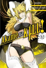 Akame ga kill - Vol. 12 - sc - 2017