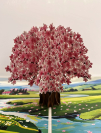 3D pop-up wenskaart - Kiriori - Plum Pink Cherry Blossom