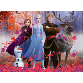 Legpuzzel -  Disney Frozen 2 -  +4 jaar  -  2D - 48 stukjes