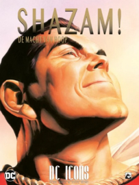 Shazam - De macht van hoop - DC ICONS -  sc - 2022
