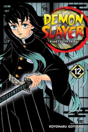Demon Slayer Kimetsu no Yaiba Vol 12 - sc - 2020