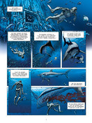 Arctica - Deel 12 - De laatste man - hc  - 2022 