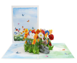 3D pop-up wenskaart - Kiriori - Roodborstje met bloemen