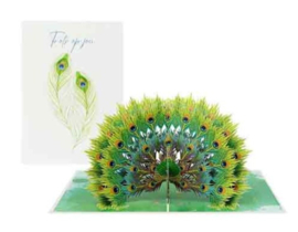 3D pop-up wenskaart - Kiriori - Pauw trots op jou