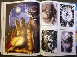 Artbook - Vincenzo Cucca - The best of - hc - 2013