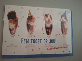 Wenskaart Verjaardag-16  incl. brievenbus verzending