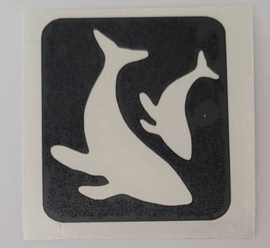 Duo Walvis