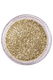 PXP biodegradable powder glitter 2.5 gr. Dutch Silver