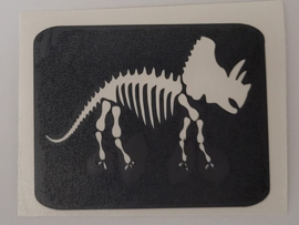 Dino Skelet L