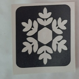 Sneeuwster-01