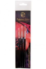 PXP Penselenset rond 2 , 4 , 6