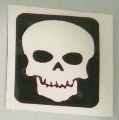 Skull-01