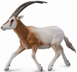 scimitar gehoornde oryx 88637