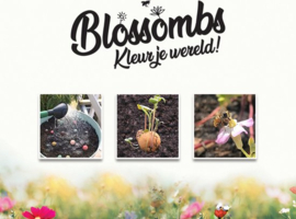 Blossombs 6 stuks