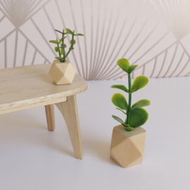 Geometric Planter