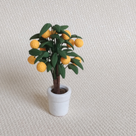 Orange Tree
